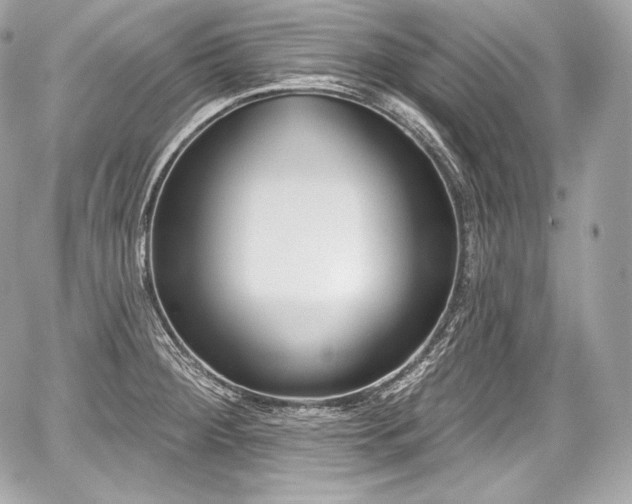 X0000059061284200510101039