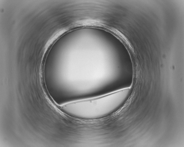 X0000059061285200510101039