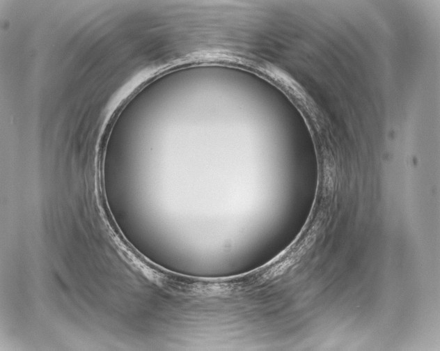 X0000059061286200510101039