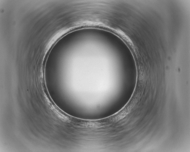 X0000059061287200510101039