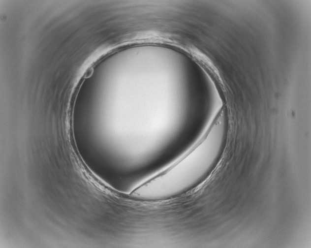 X0000059061288200510101039