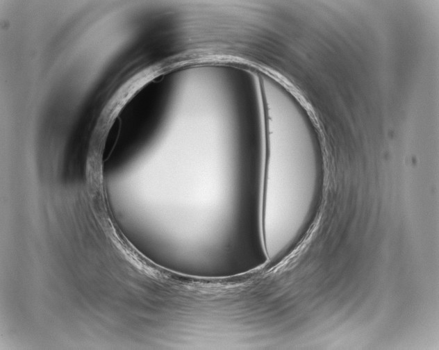 X0000059061289200510101039