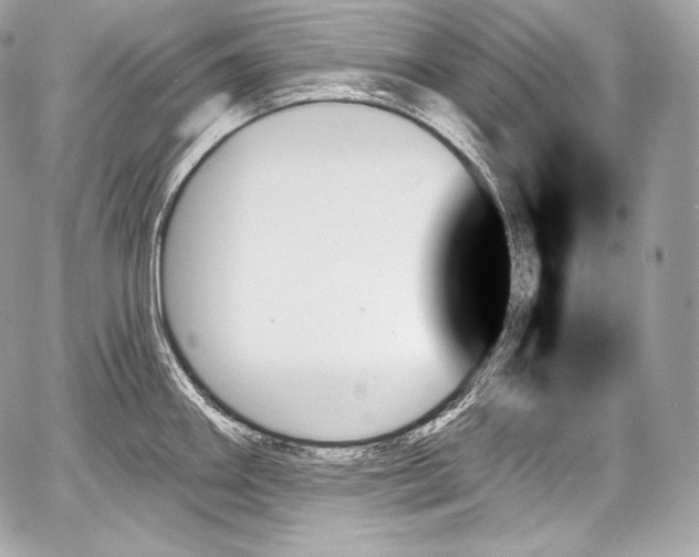 X0000059061290200510101039