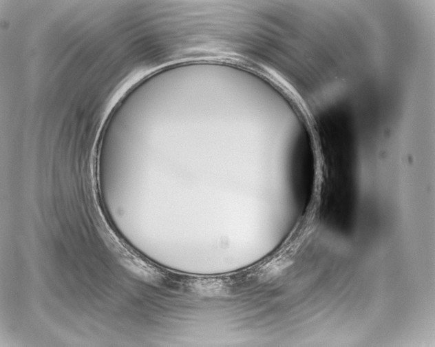 X0000059061291200510101039