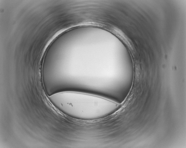 X0000059061292200510101039