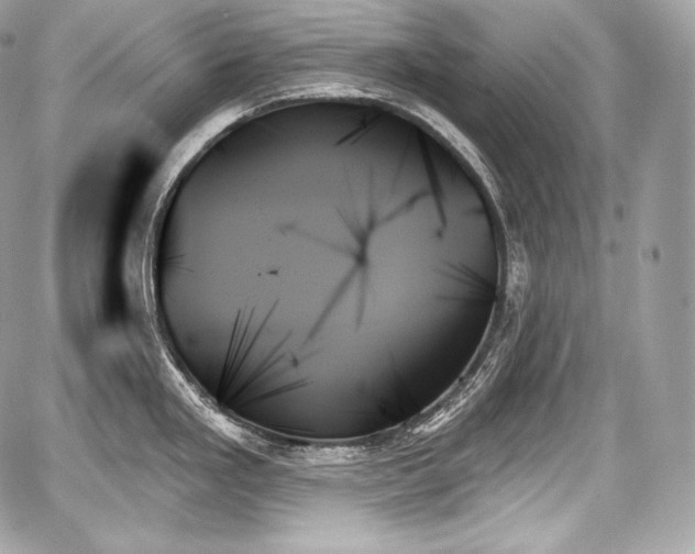 X0000059061293200510101039