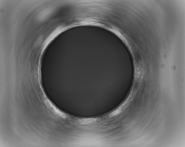 X0000059061294200510101039