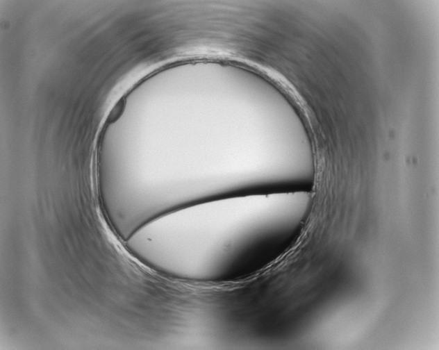 X0000059061295200510101039