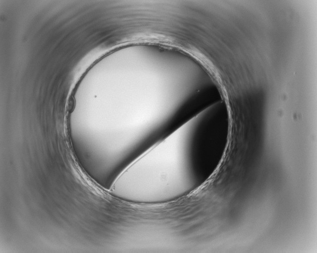 X0000059061296200510101039