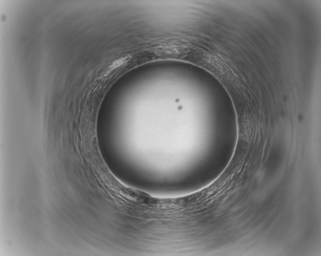 X0000059061297200510101038