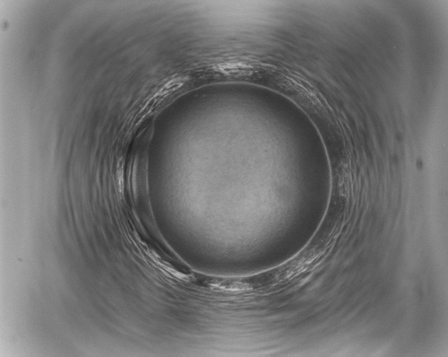 X0000059061298200510101038