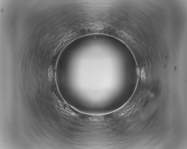 X0000059061299200510101038