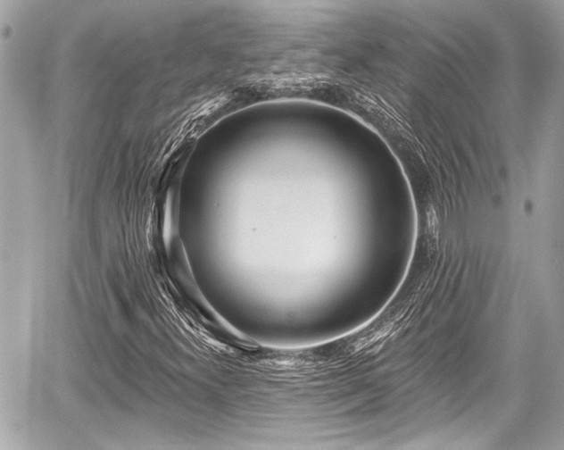 X0000059061300200510101038