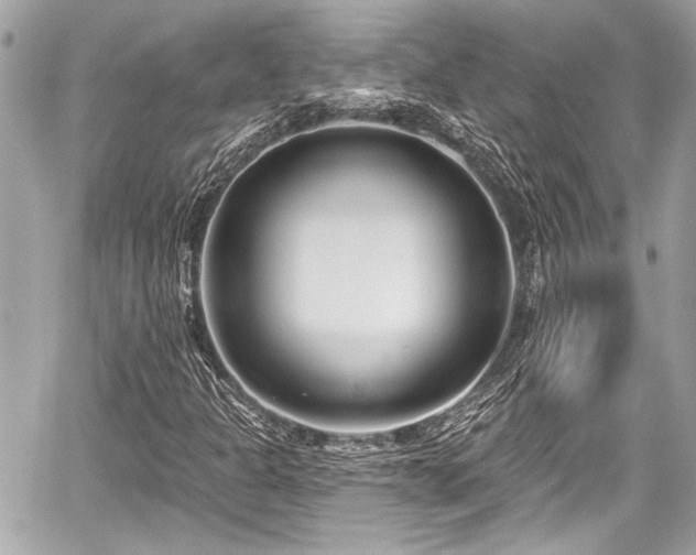 X0000059061301200510101038