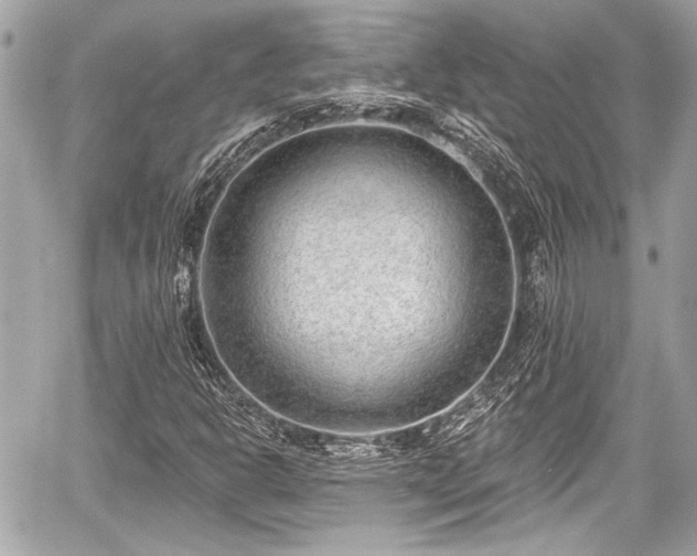 X0000059061302200510101038