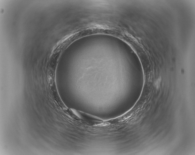 X0000059061303200510101038