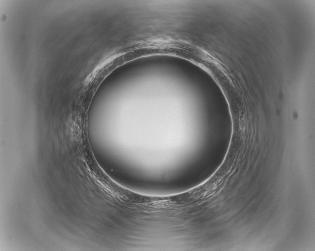 X0000059061304200510101038