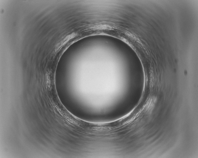 X0000059061305200510101038