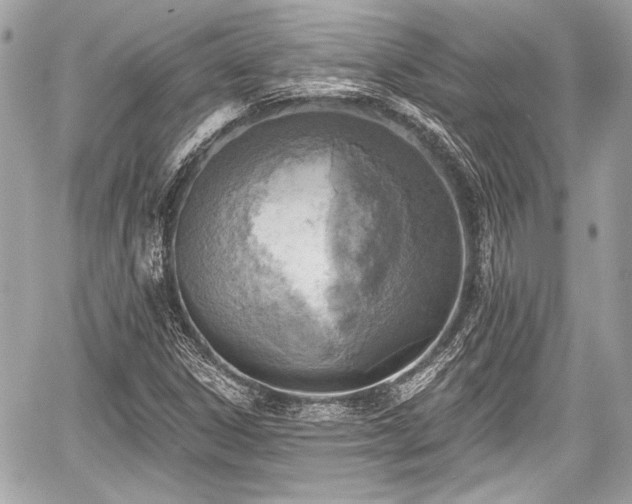 X0000059061306200510101038