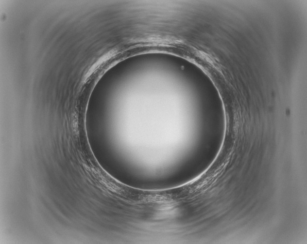 X0000059061307200510101038