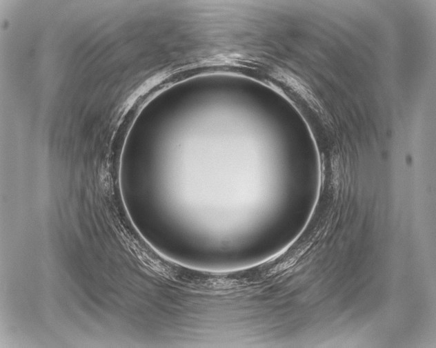 X0000059061308200510101038