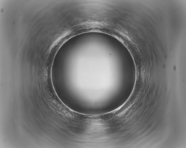 X0000059061309200510101038