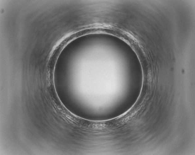 X0000059061310200510101038