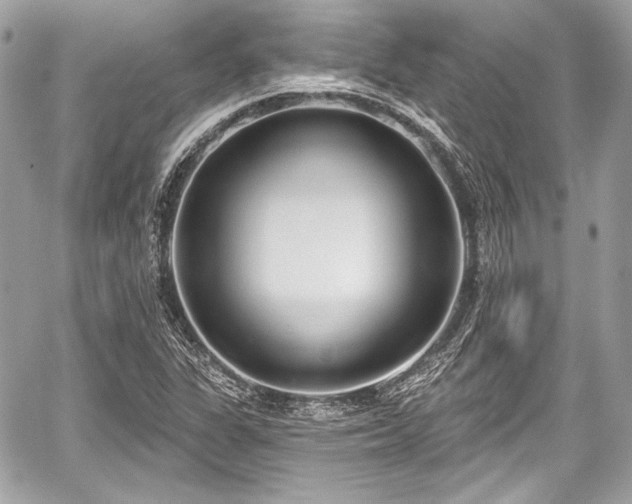 X0000059061311200510101038