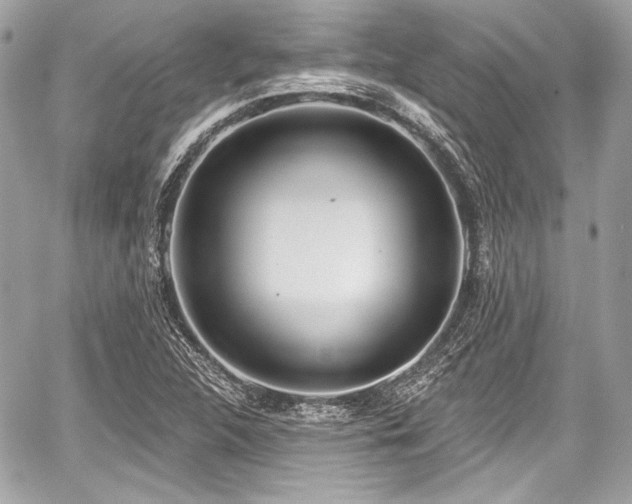 X0000059061312200510101038