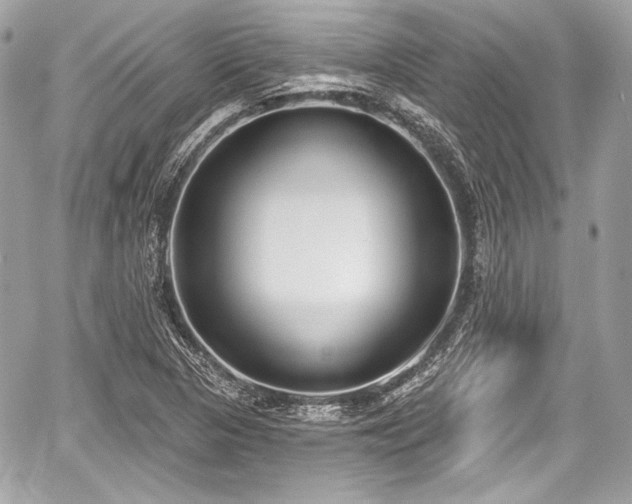 X0000059061313200510101038