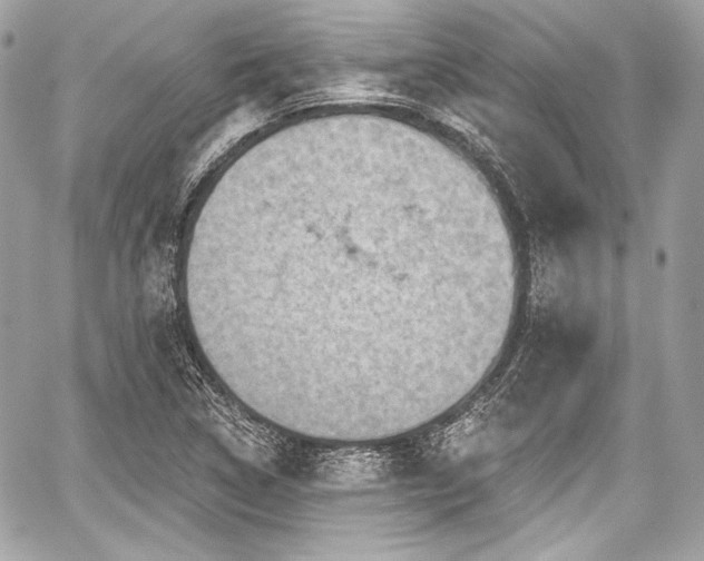 X0000059061314200510101038