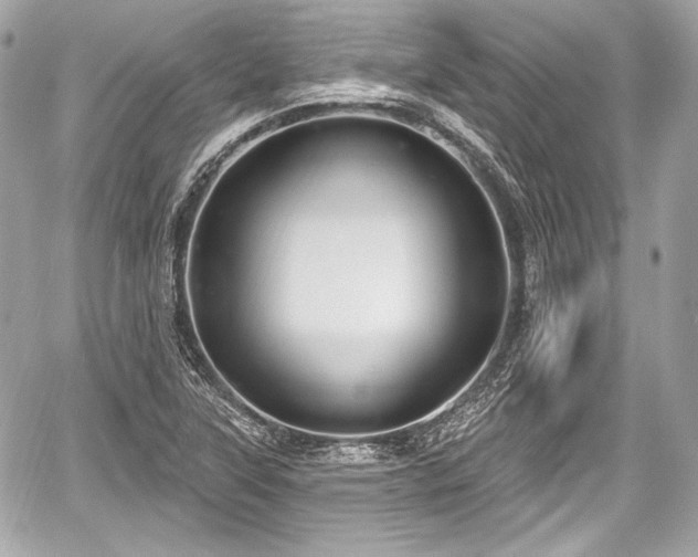 X0000059061315200510101038