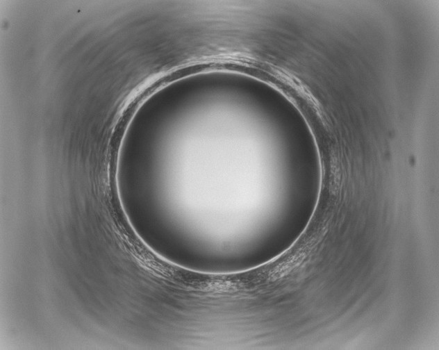 X0000059061316200510101038