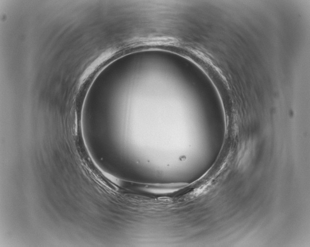 X0000059061317200510101038