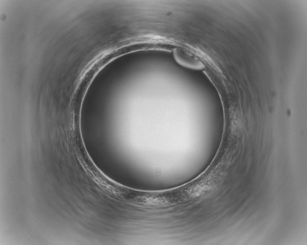 X0000059061318200510101038