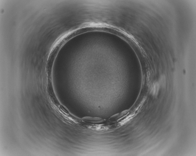 X0000059061319200510101038