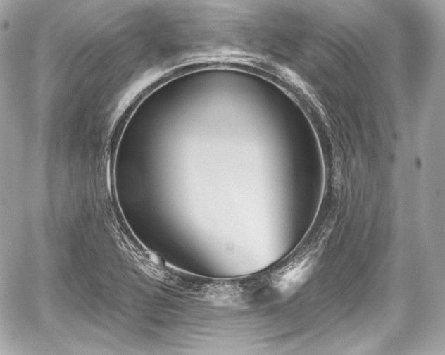 X0000059061320200510101038