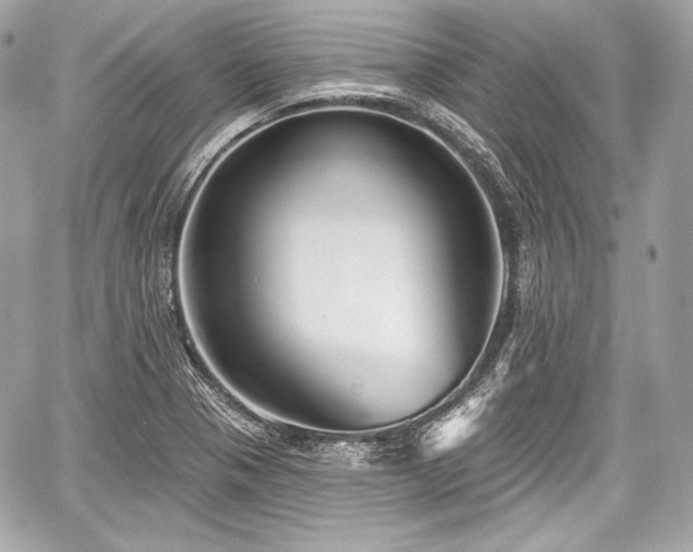 X0000059061321200510101038