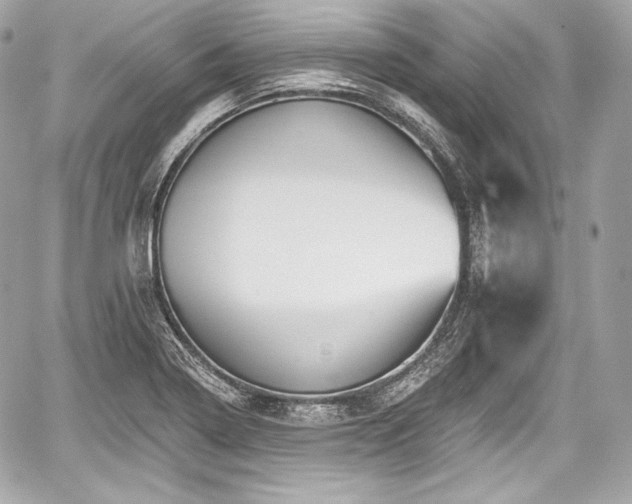 X0000059061322200510101038