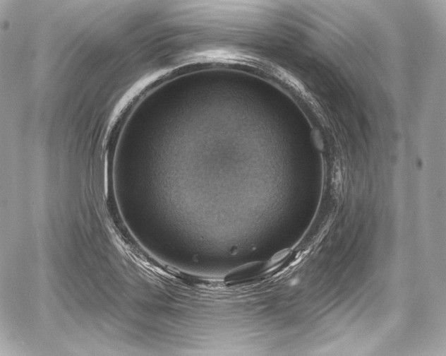 X0000059061323200510101038