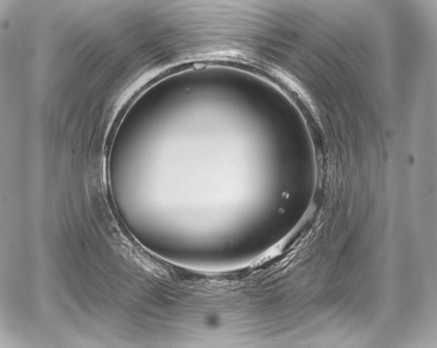 X0000059061324200510101038