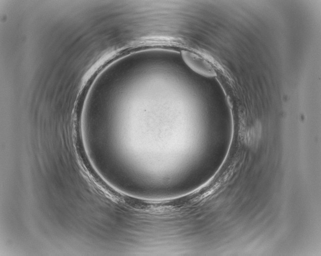 X0000059061325200510101038