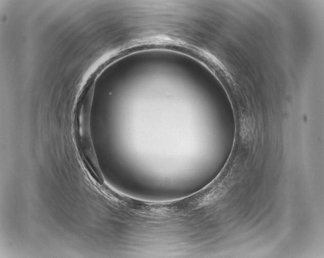 X0000059061326200510101038