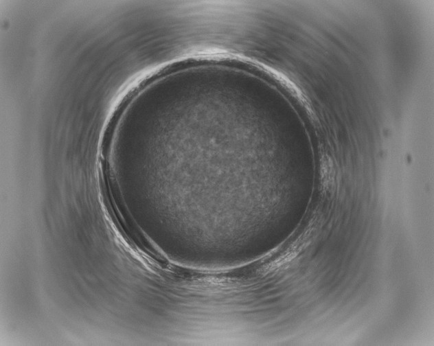 X0000059061327200510101038