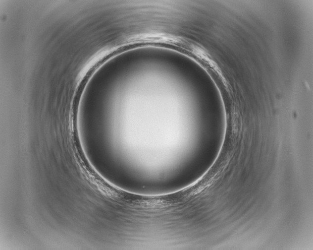 X0000059061328200510101038