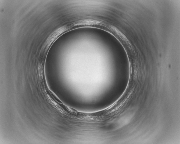 X0000059061329200510101038