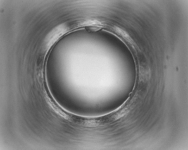 X0000059061330200510101038