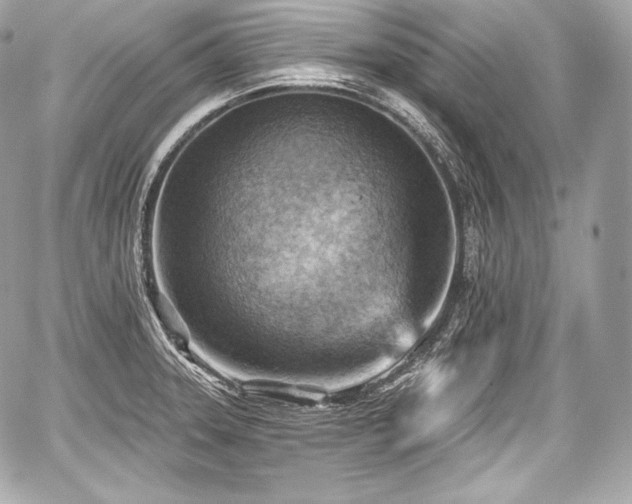 X0000059061331200510101038