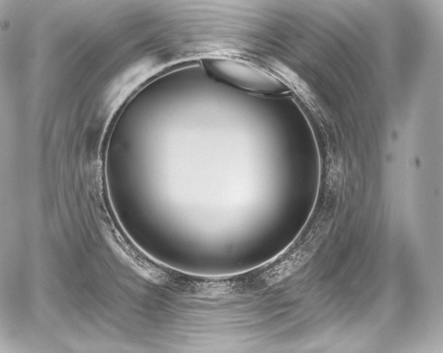 X0000059061332200510101038