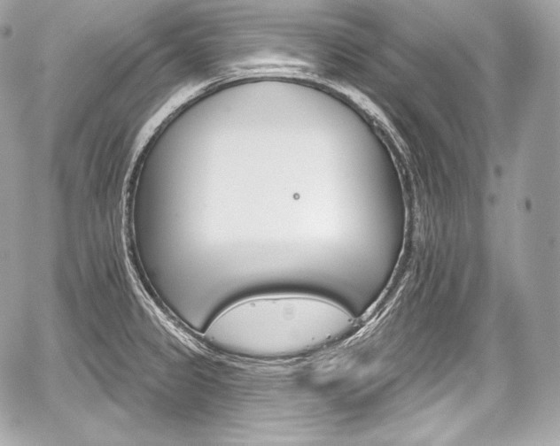 X0000059061333200510101038